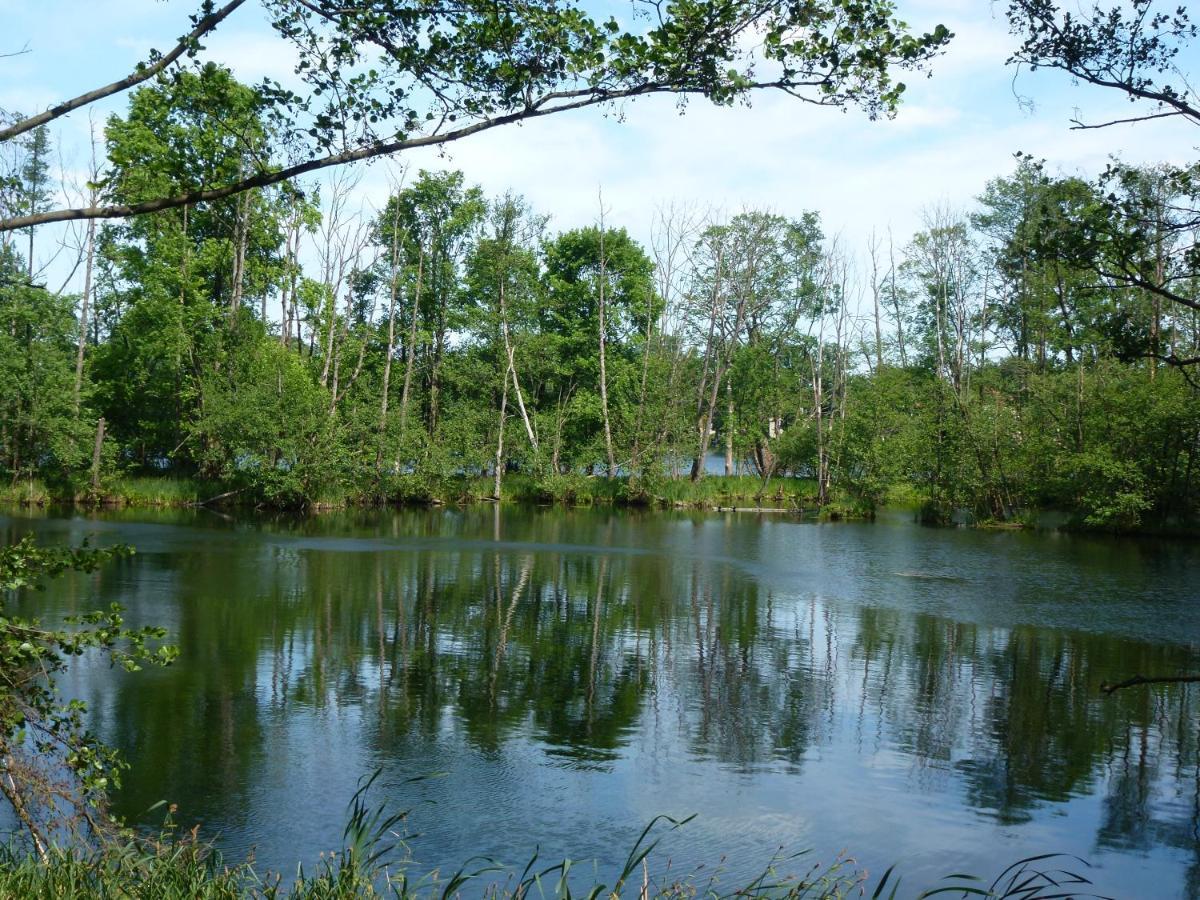 Seeblick Kemnitz Werder  Bagian luar foto