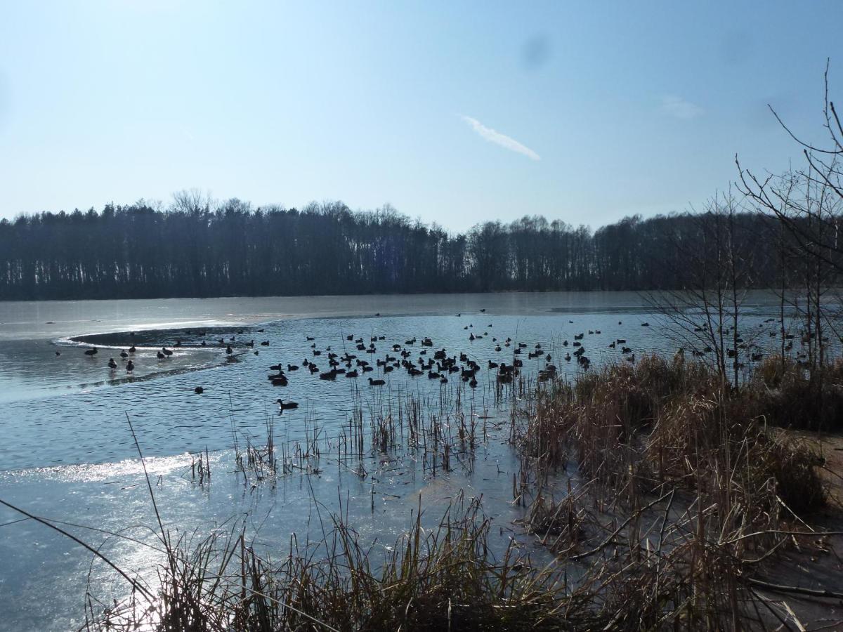 Seeblick Kemnitz Werder  Bagian luar foto